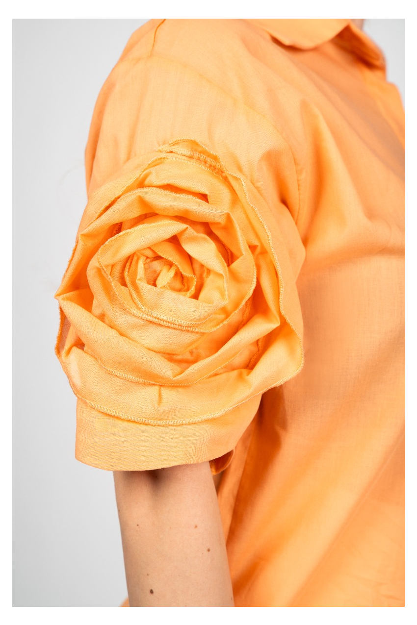 Елегантна риза Роза